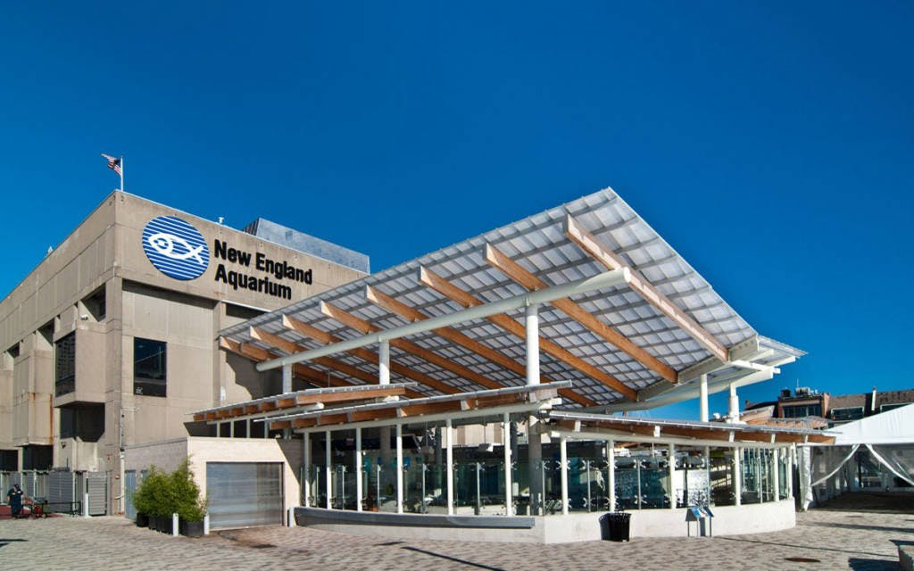 Simons Theatre: Shark Kingdom Film - Photo 1 of 3